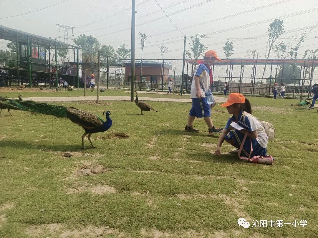 探索神奇自然 研学千年古陶 —— 沁阳市第一小学研学活动启动