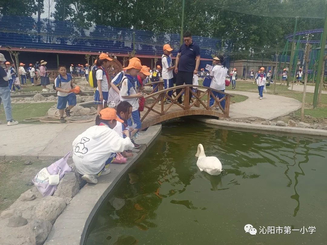 探索神奇自然 研学千年古陶 —— 沁阳市第一小学研学活动启动