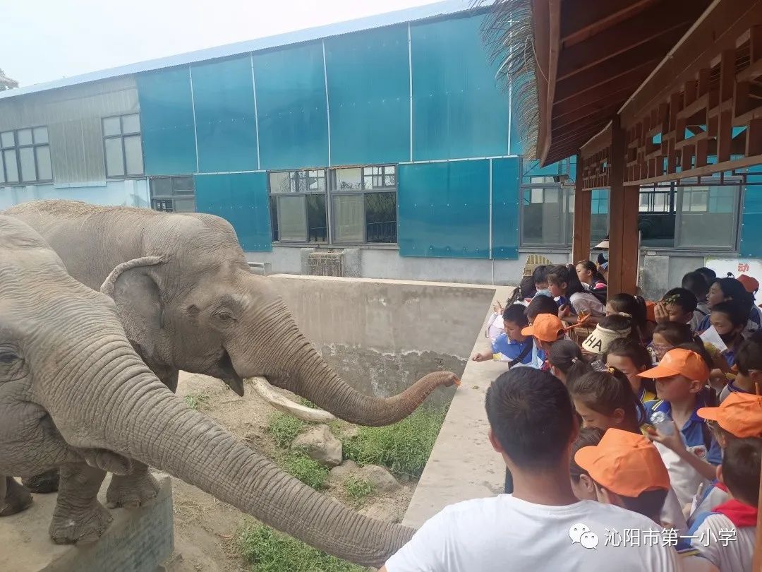 探索神奇自然 研学千年古陶 —— 沁阳市第一小学研学活动启动